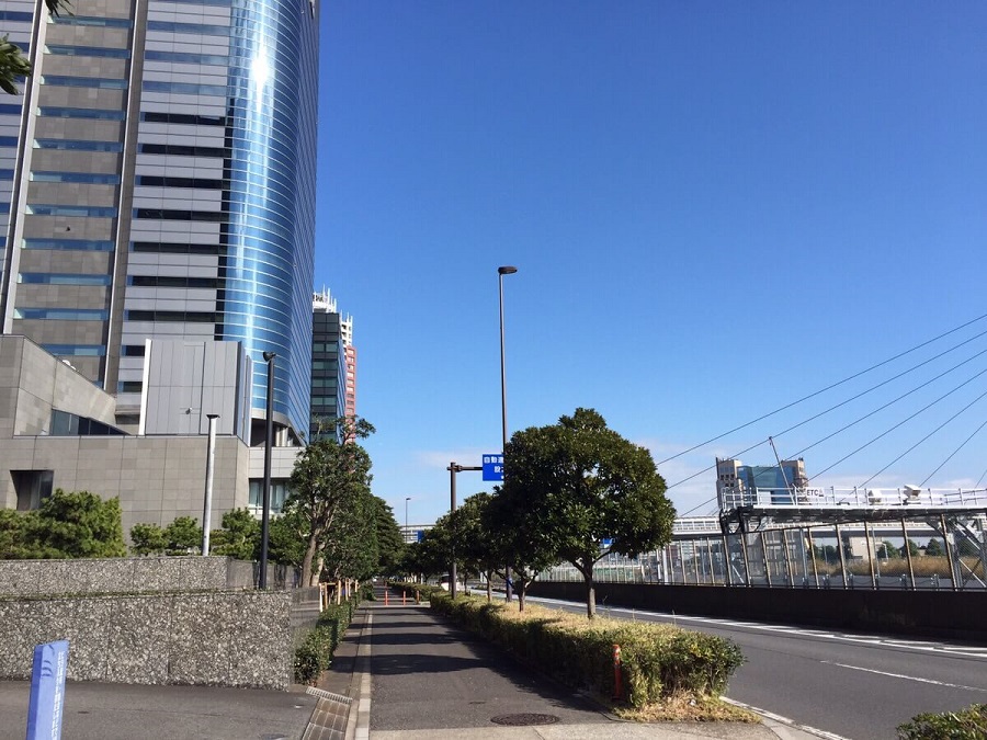 朝の道路